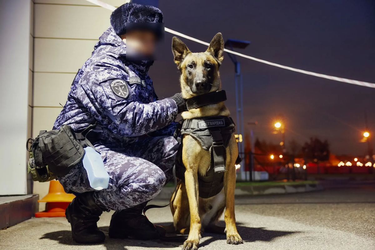 Прямо сейчас в Санкт-Петербурге на стадионе «Газпром Арена» военнослужащие специального моторизованного Измайловского полка и 33-й бригады оперативного назначения Северо-Западного округа Росгвардии, а также сотрудники ОМОН... Прямо сейчас в Санкт-Петербурге на стадионе «Газпром Арена» военнослужащие специального моторизованного Измайловского полка и 33-й бригады оперативного назначения Северо-Западного округа Росгвардии, а также сотрудники ОМОН...
