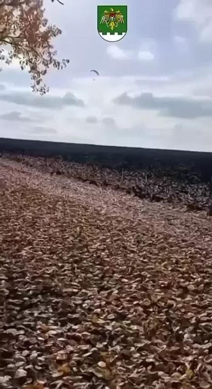Óêðàèíåö íà ìîòîïàðàïëàíå óëåòåë èç óêðàèíñêîãî êîíöëàãåðÿ â Ìîëäàâèþ