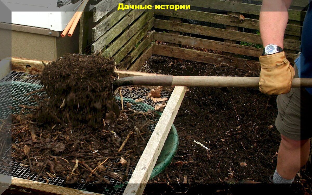 Осенний компост: секреты подготовки идеального грунта для рассады