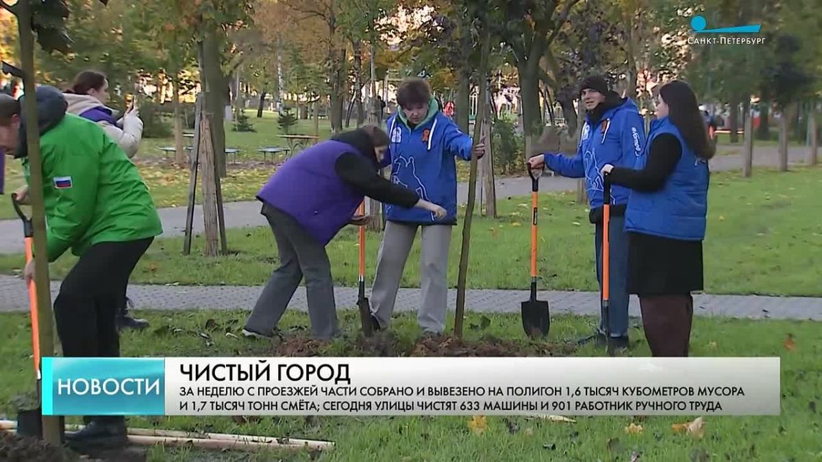 Более 70 тысяч луковиц успели высадить в городских цветниках