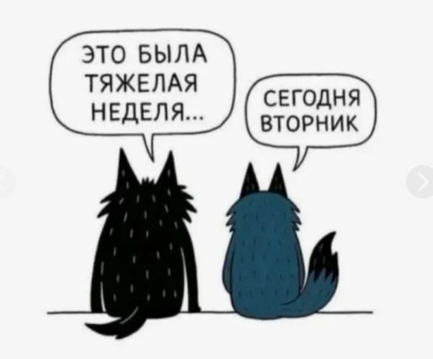 Мем-прогноз на 27 октября: Чего ожидать от сегодняшнего дня? Смотри на фото