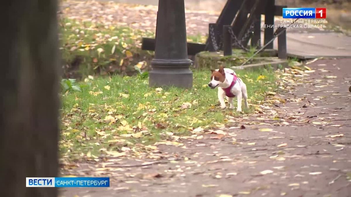 В Петербурге побит температурный максимум октября