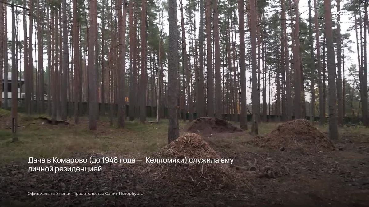 Историческую Дачу Каннегисера на Большом проспекте в посёлке Комарово отреставрируют
