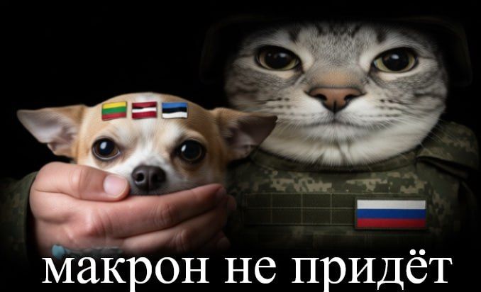 Франция обещает Европе ядерный зонтик, но прибалтам под ним места не нашлось