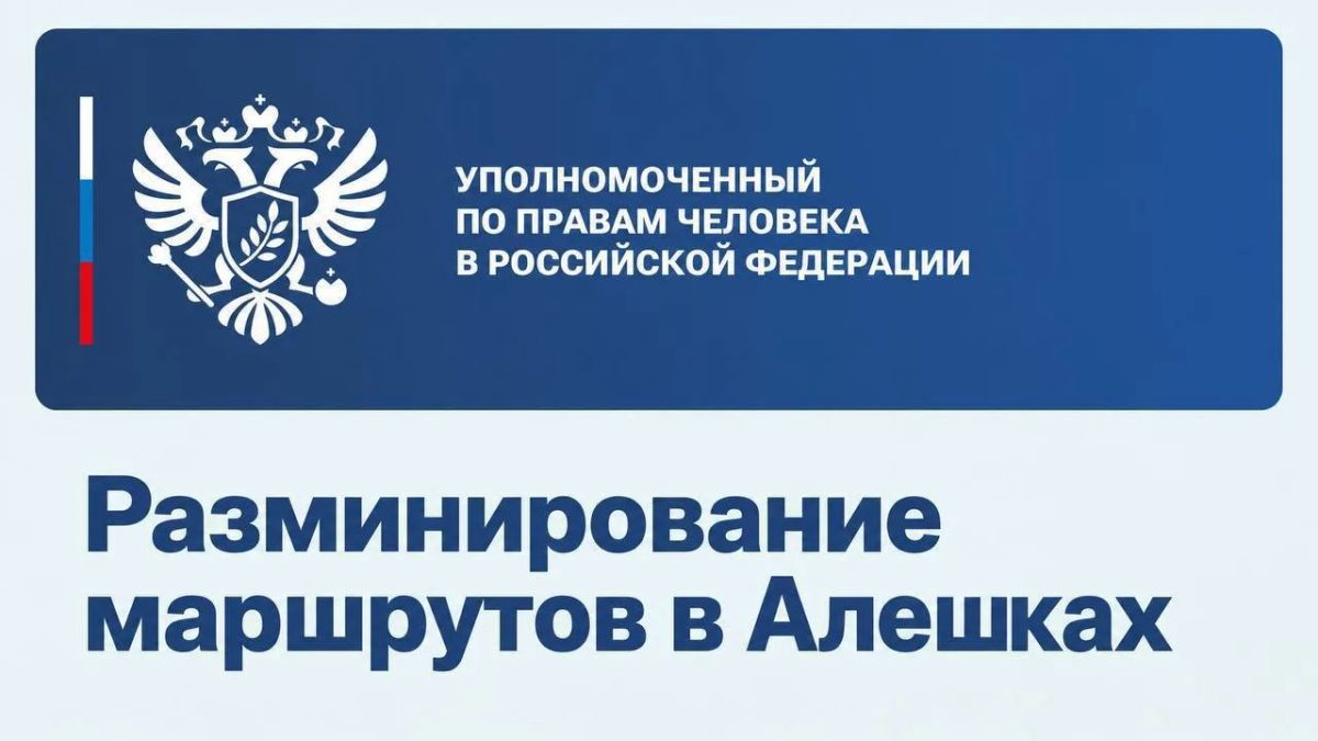 Дмитрий Стешин: Дорогу в Алешки начали разминировать