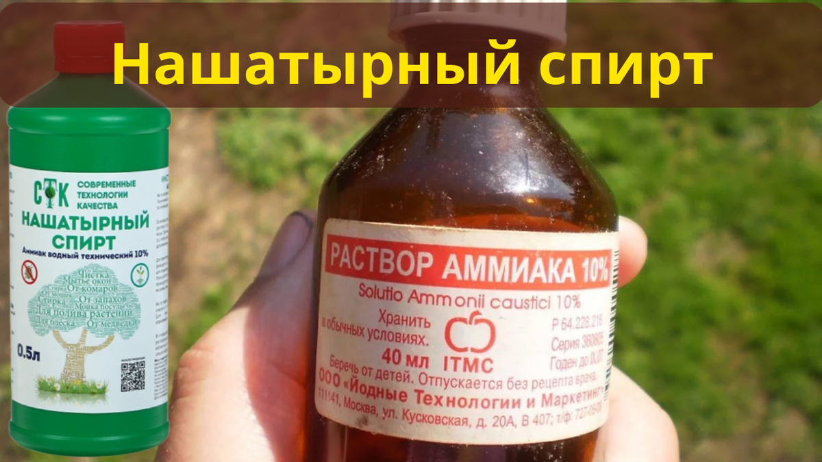 Эффективное использование нашатырного спирта в садоводстве