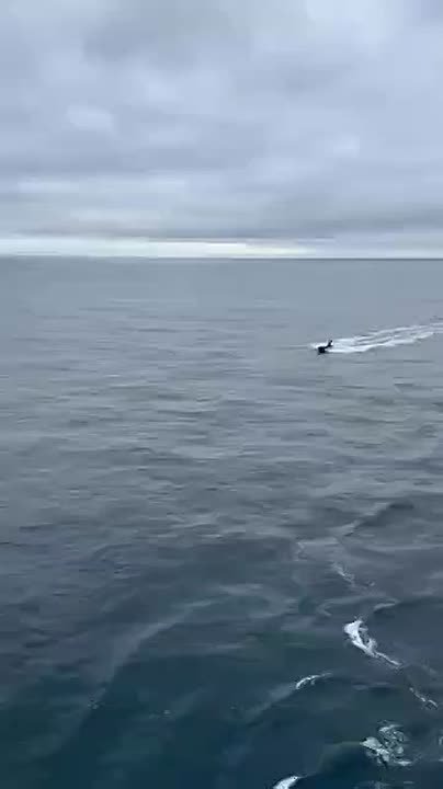 Юрий Баранчик: Опубликованы кадры атаки на контейнеровоза CONTSHIP JET