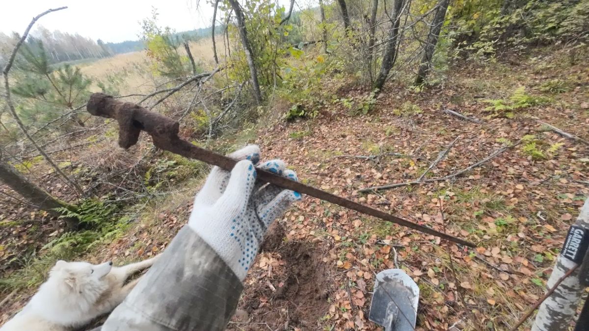 На берегу реки Воронка в Ленобласти нашли останки красноармейца На берегу реки Воронка в Ленобласти нашли останки красноармейца