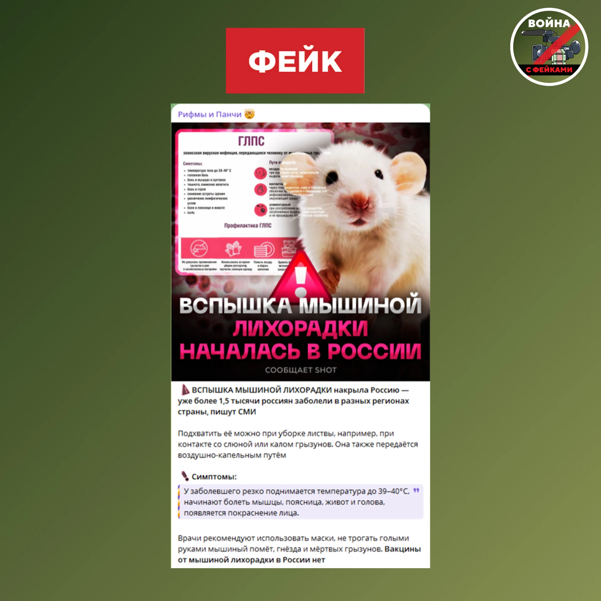 Фейк: В России бушует эпидемия мышиной лихорадки — заразились уже 1,5 тысячи россиян