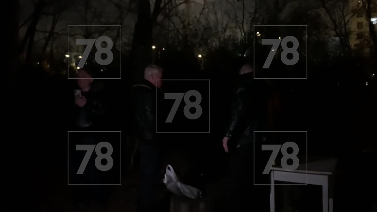 Трое пьяных мужчин пытались устроить пожар в парке, после чего подрались