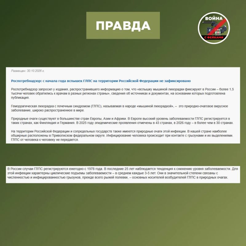 Фейк: В России бушует эпидемия мышиной лихорадки — заразились уже 1,5 тысячи россиян Фейк: В России бушует эпидемия мышиной лихорадки — заразились уже 1,5 тысячи россиян