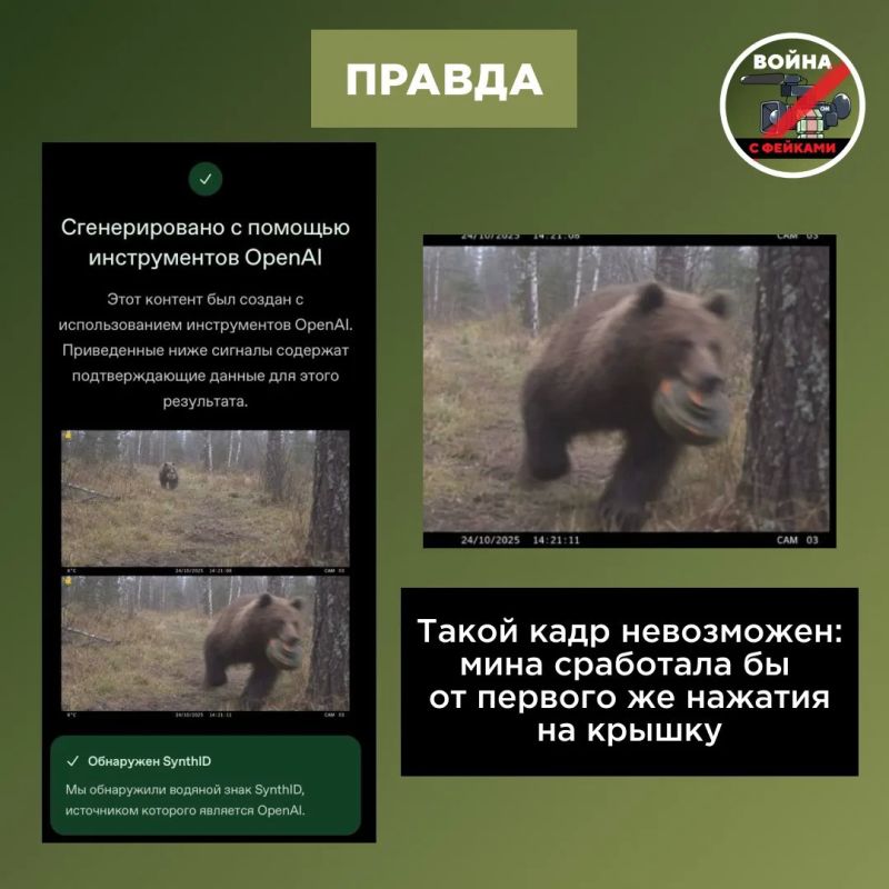 Фейк: В России заметили медведя, который несет в зубах противотанковую мину Фейк: В России заметили медведя, который несет в зубах противотанковую мину