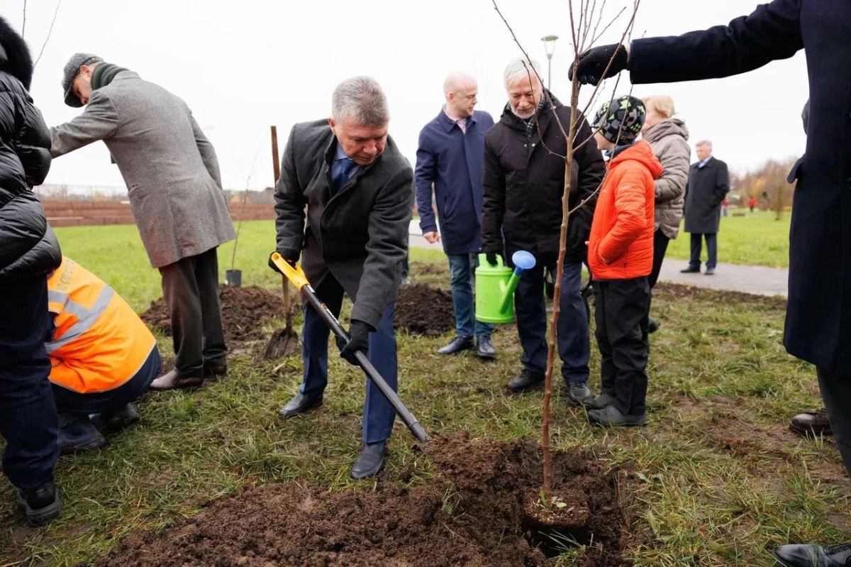 Этнопарк появится на юге Петербурга Этнопарк появится на юге Петербурга