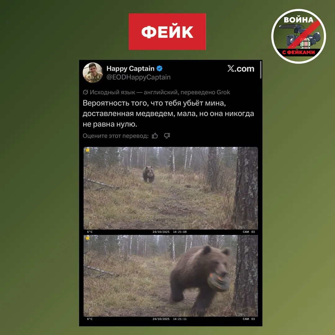 Фейк: В России заметили медведя, который несет в зубах противотанковую мину