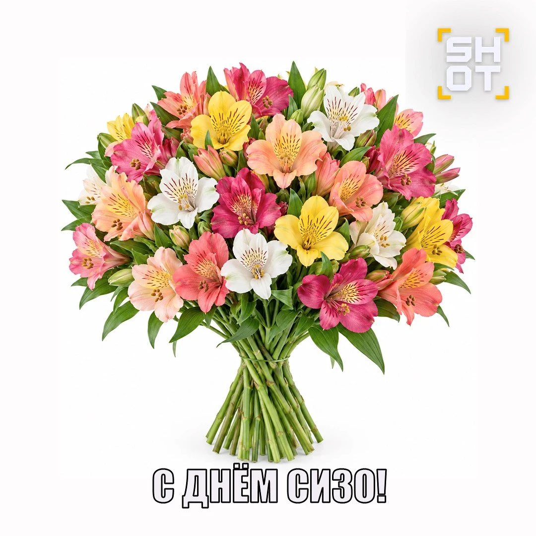 Питерский Ромео украл букет для сожительницы на 12-летие отношений, а его подельник в тот же день устроил разбой с ножом